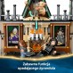 LEGO Harry Potter Dwór Malfoyów 76453