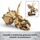 LEGO Jurassic World Szkielety dinozaurów: czaszka triceratopsa 76969