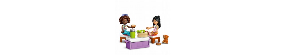LEGO Friends Samochodowa wycieczka przyjaciółek 42659