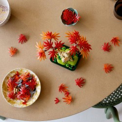 LEGO Botanicals Klon palmowy bonsai 10348