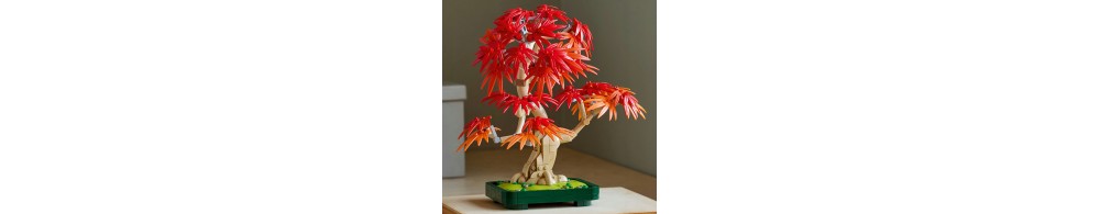 LEGO Botanicals Klon palmowy bonsai 10348
