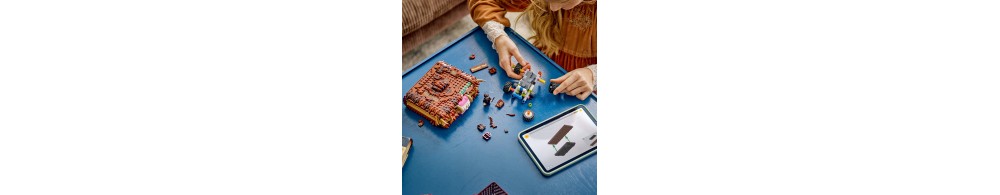 LEGO Harry Potter Potworna księga potworów z zębami 76449