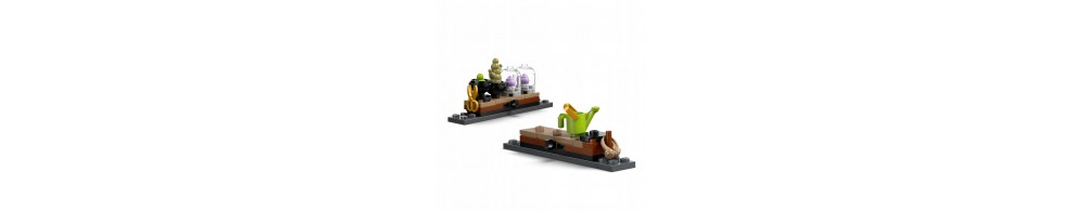 LEGO Harry Potter Zamek Hogwart: zajęcia z zielarstwa 76445