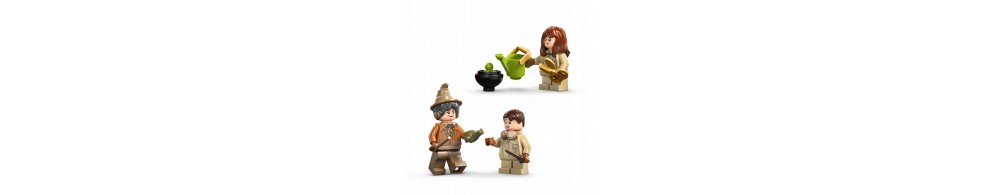 LEGO Harry Potter Zamek Hogwart: zajęcia z zielarstwa 76445