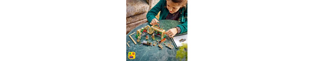 LEGO Harry Potter Zamek Hogwart: zajęcia z zielarstwa 76445
