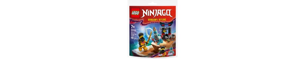 LEGO Ninjago Bitwa Arina z Dragonem 30700