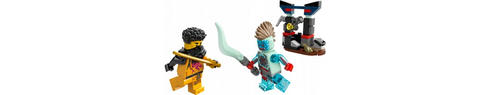 LEGO Ninjago Bitwa Arina z Dragonem 30700