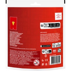 LEGO Ninjago Bitwa Arina z Dragonem 30700