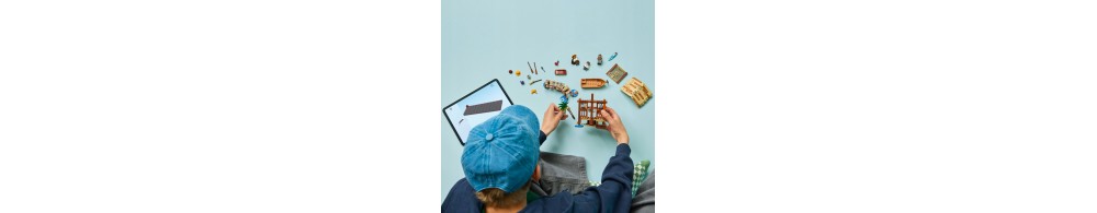 LEGO ONE PIECE Chatka w wiosce Fuusha 75636