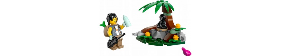LEGO City Spotkanie z małym gorylem 30665