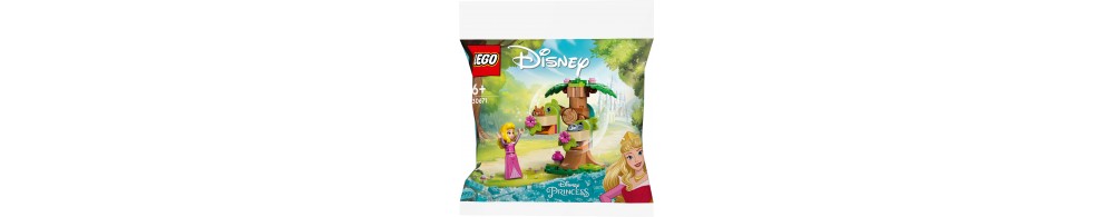LEGO Disney Princess Leśny plac zabaw Aurory 30671