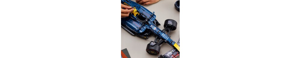LEGO Technic Bolid F1 Oracle Red Bull Racing RB20 42206