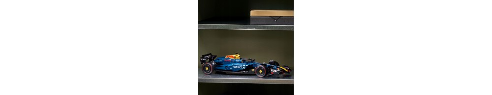 LEGO Technic Bolid F1 Oracle Red Bull Racing RB20 42206