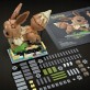 Mega Pokemon „Ruchomy” Eevee do ustawiania HTH71