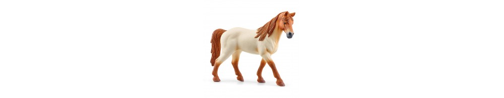 Schleich Centrum jeździeckie Lakeside 42567