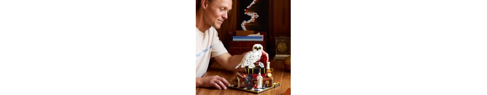 LEGO Harry Potter Kamień filozoficzny - edycja kolekcjonerska 76466