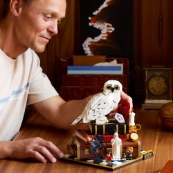 LEGO Harry Potter Kamień filozoficzny - edycja kolekcjonerska 76466