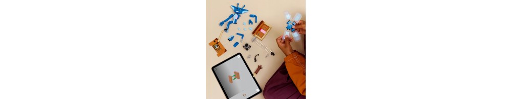 LEGO Harry Potter Chochlik kornwalijski 76461