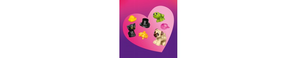 LEGO Friends Furgonetka z akcesoriami dla zwierząt 42678