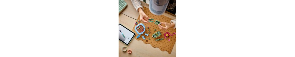 LEGO Botanicals Kwitnący kaktus 11509