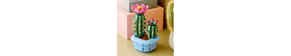 LEGO Botanicals Kwitnący kaktus 11509