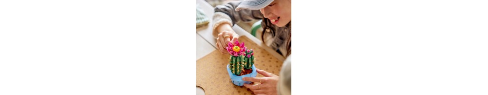 LEGO Botanicals Kwitnący kaktus 11509