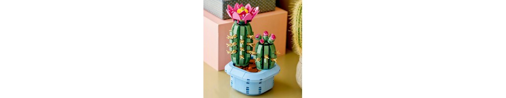 LEGO Botanicals Kwitnący kaktus 11509
