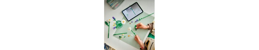 LEGO Botanicals Stokrotki 11508