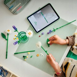 LEGO Botanicals Stokrotki 11508