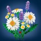 LEGO Botanicals Stokrotki 11508
