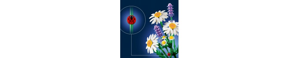 LEGO Botanicals Stokrotki 11508