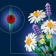 LEGO Botanicals Stokrotki 11508