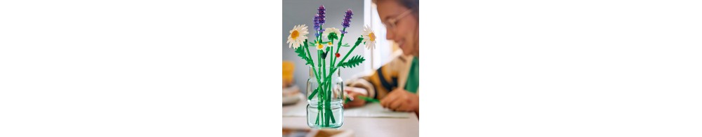 LEGO Botanicals Stokrotki 11508