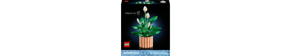 LEGO Botanicals Skrzydłokwiat 11504
