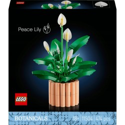 LEGO Botanicals Skrzydłokwiat 11504