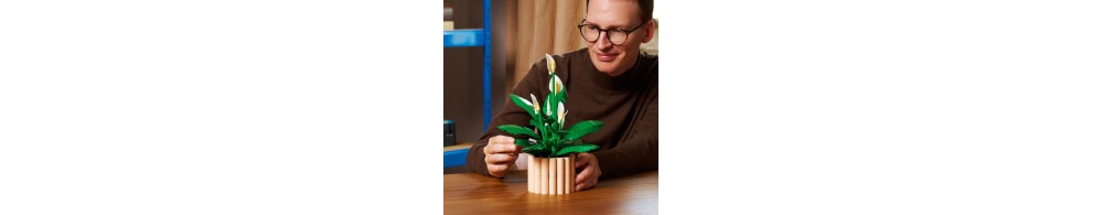 LEGO Botanicals Skrzydłokwiat 11504