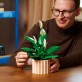 LEGO Botanicals Skrzydłokwiat 11504