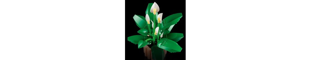 LEGO Botanicals Skrzydłokwiat 11504