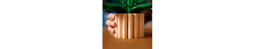 LEGO Botanicals Skrzydłokwiat 11504