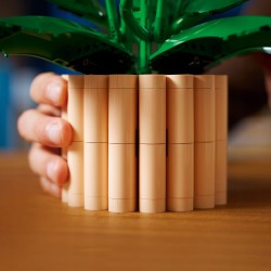 LEGO Botanicals Skrzydłokwiat 11504