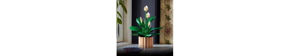 LEGO Botanicals Skrzydłokwiat 11504