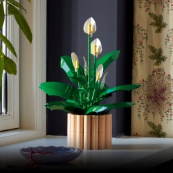 LEGO Botanicals Skrzydłokwiat 11504