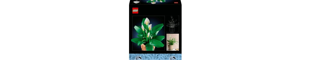 LEGO Botanicals Skrzydłokwiat 11504