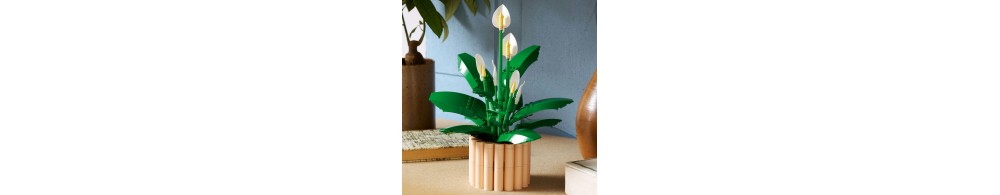 LEGO Botanicals Skrzydłokwiat 11504