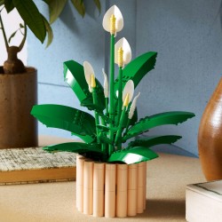 LEGO Botanicals Skrzydłokwiat 11504