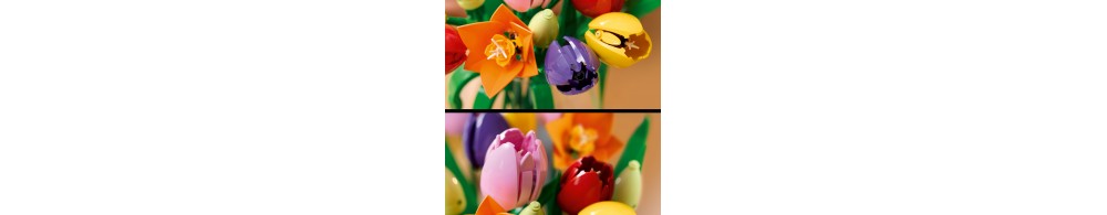 LEGO Botanicals Bukiet tulipanów 11501