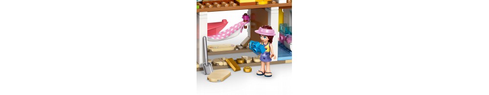 LEGO Friends Domek na plaży z fokami 42699