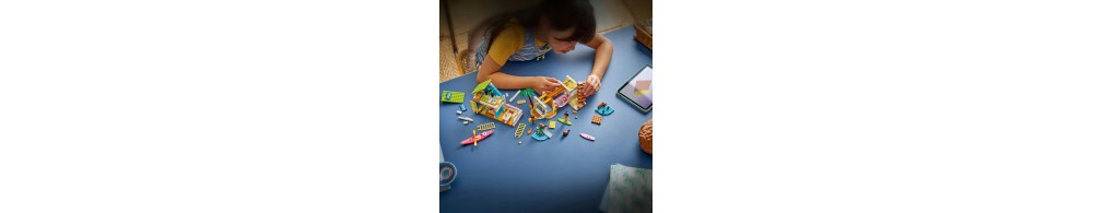 LEGO Friends Domek na plaży z fokami 42699