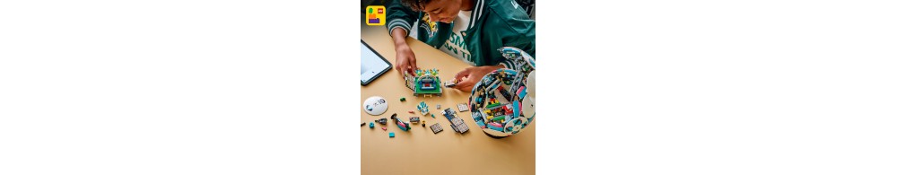 LEGO Editions Piłka nożna 43019