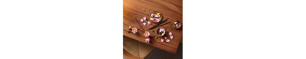 LEGO Botanicals Gałązki magnolii 11510